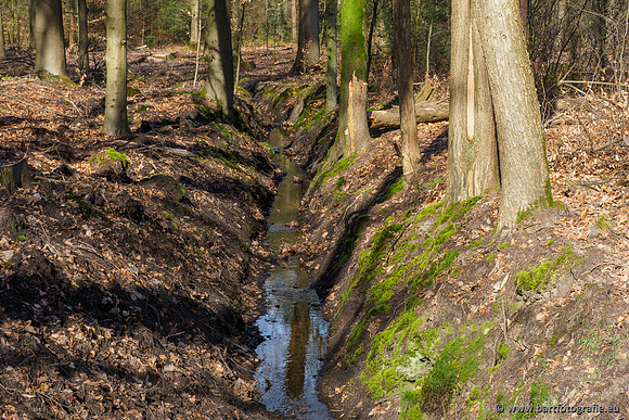 Het Nun 170320-030
