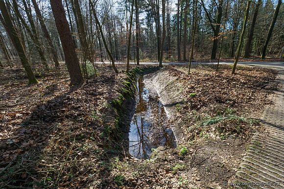Het Nun 170320-033