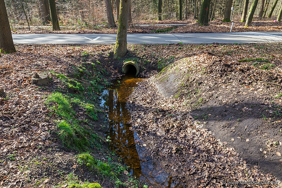 Het Nun 170320-034