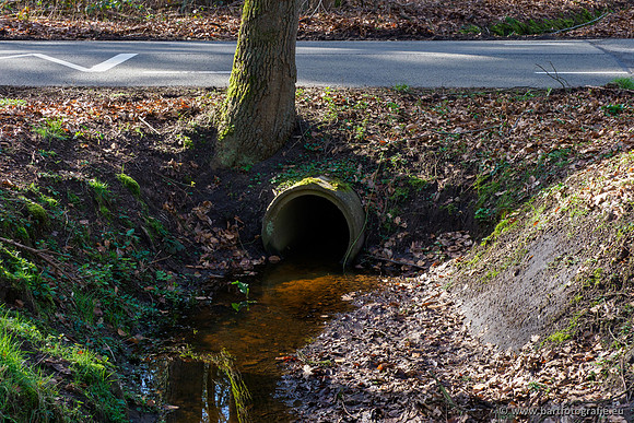 Het Nun 170320-035