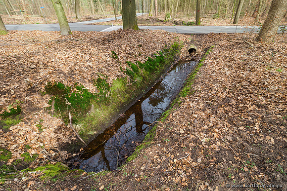 Het Nun 170320-038