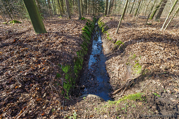 Het Nun 170320-041