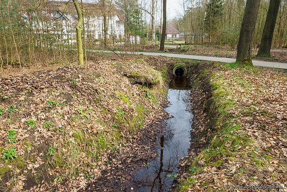 Het Nun 170320-051