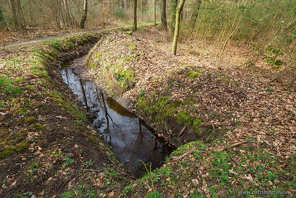 Het Nun 170320-052