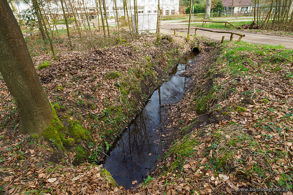 Het Nun 170320-053