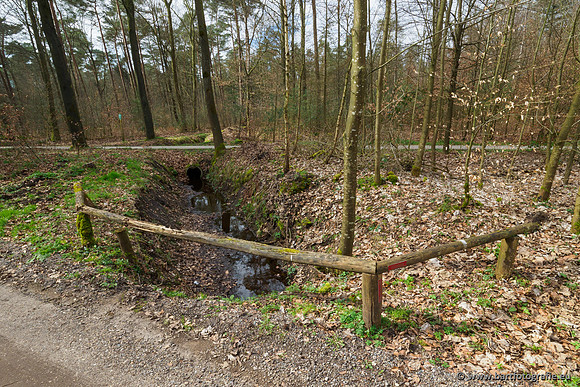 Het Nun 170320-054