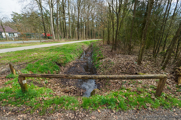 Het Nun 170320-055