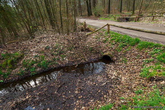 Het Nun 170320-056