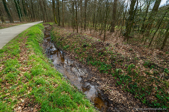 Het Nun 170320-057