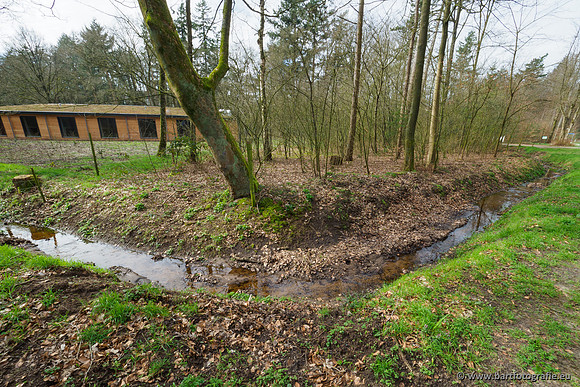 Het Nun 170320-058