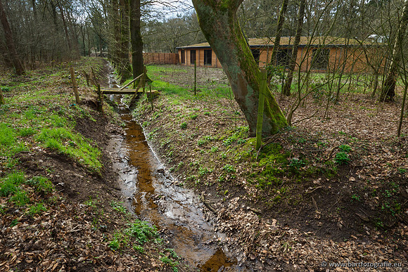 Het Nun 170320-059