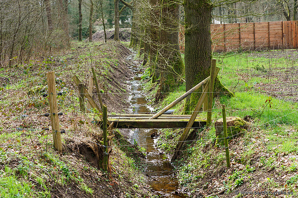 Het Nun 170320-060