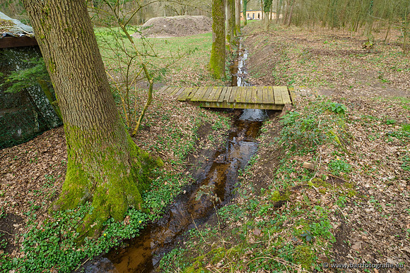 Het Nun 170320-063