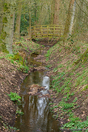 Het Nun 170320-067