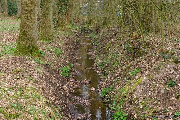 Het Nun 170320-074