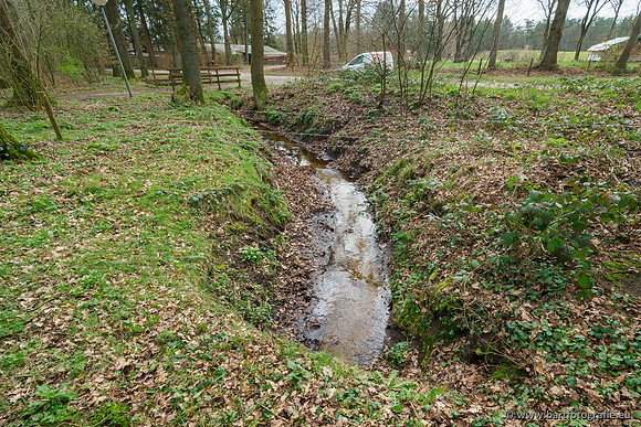 Het Nun 170320-076