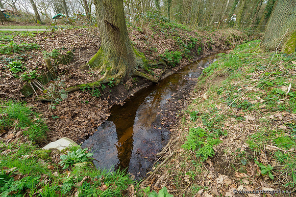 Het Nun 170320-077