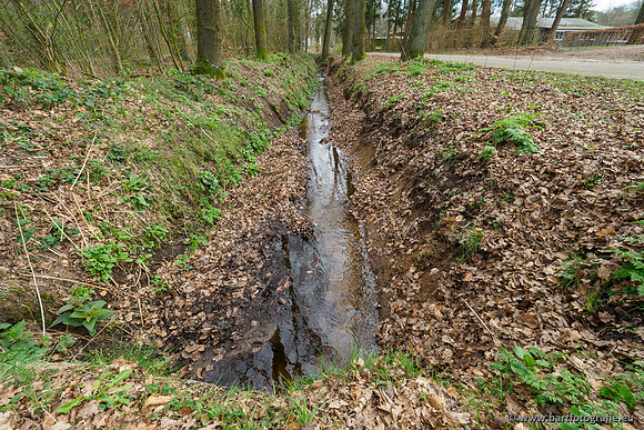 Het Nun 170320-078