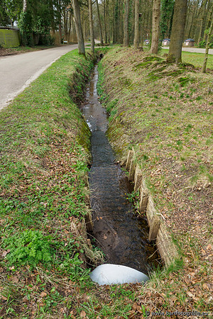 Het Nun 170320-079
