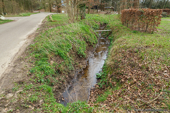 Het Nun 170320-082
