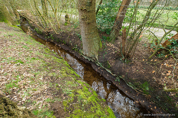 Het Nun 170320-091