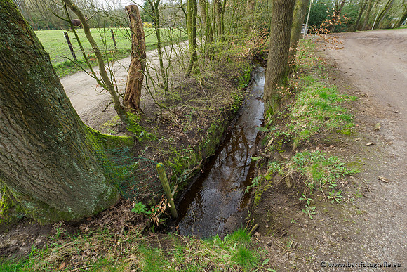 Het Nun 170320-092