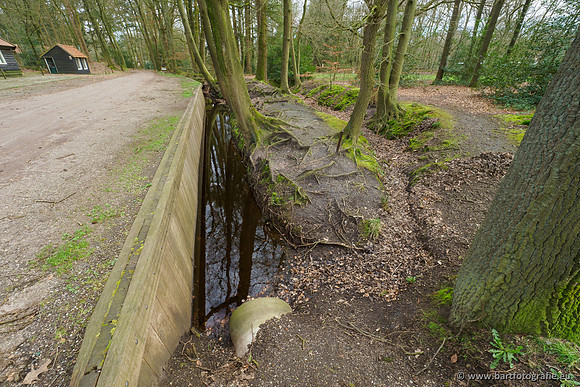Het Nun 170320-093