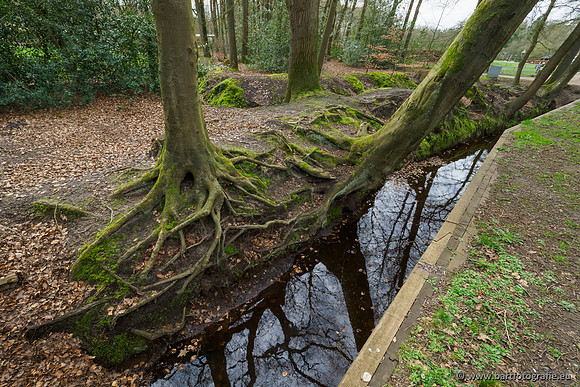 Het Nun 170320-098