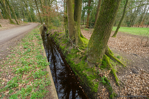 Het Nun 170320-099