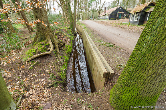 Het Nun 170320-101