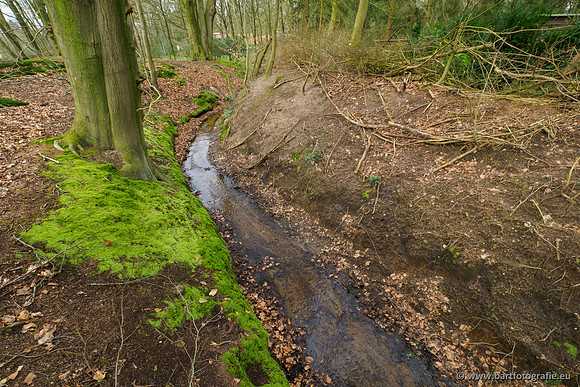 Het Nun 170320-108