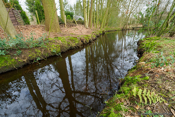 Het Nun 170320-113