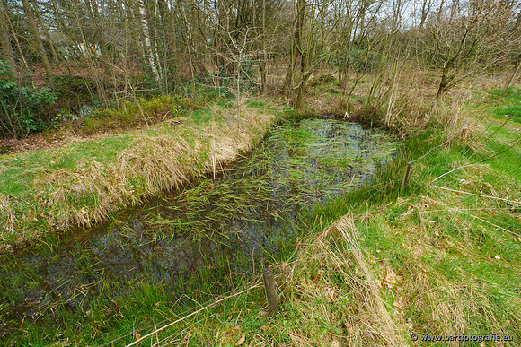 Het Nun 170320-115