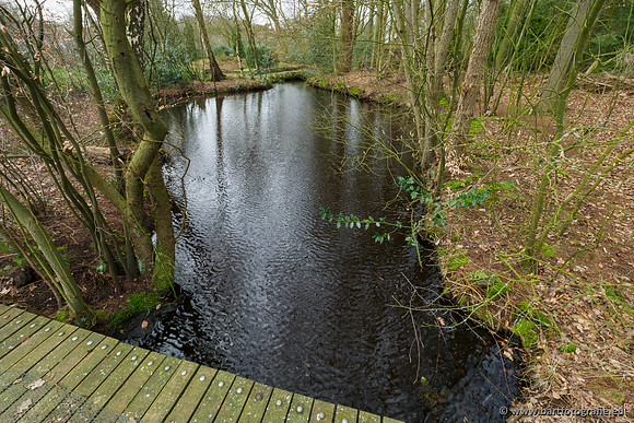 Het Nun 170320-117