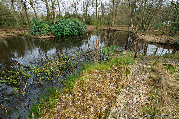 Het Nun 170320-120