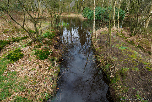 Het Nun 170320-122