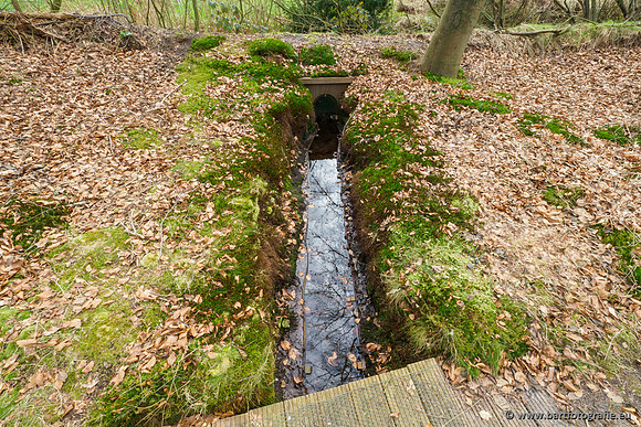 Het Nun 170320-125