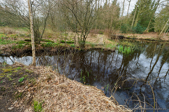 Het Nun 170320-126