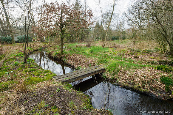 Het Nun 170320-127