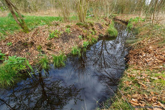 Het Nun 170320-129
