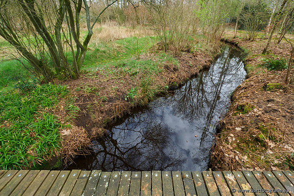 Het Nun 170320-130