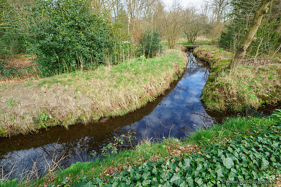Het Nun 170320-133