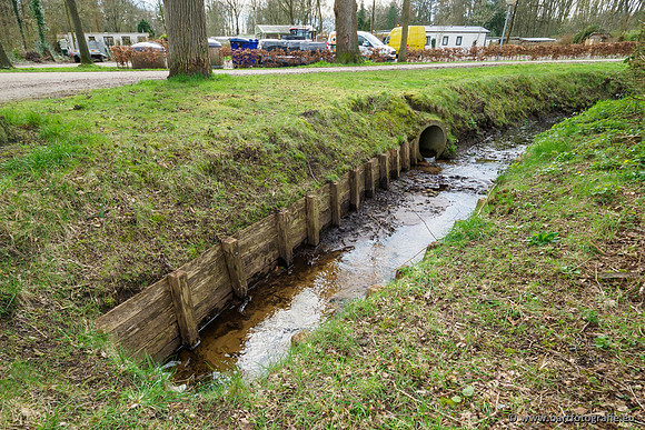 Het Nun 170320-147
