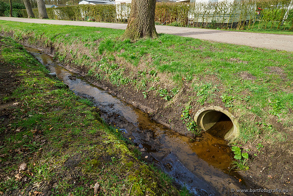 Het Nun 170320-149