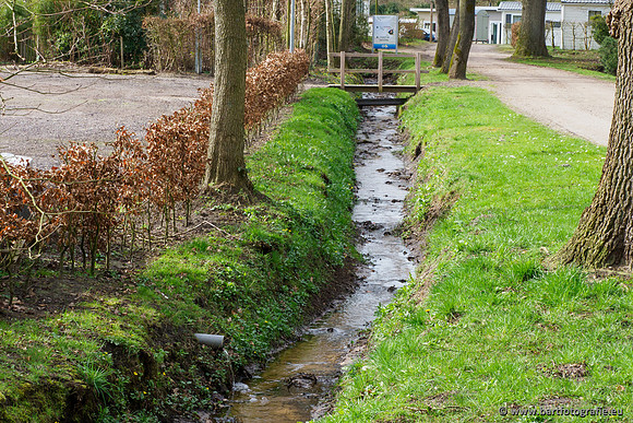 Het Nun 170320-151