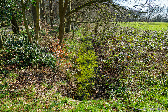 Bekenstelsel rondom Uddel en Elspeet 210320-004