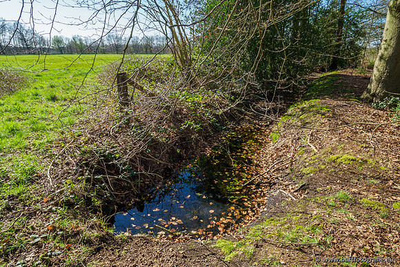 Bekenstelsel rondom Uddel en Elspeet 210320-005