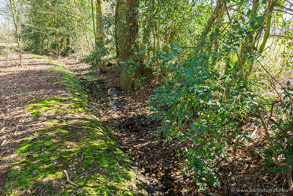 Bekenstelsel rondom Uddel en Elspeet 210320-006