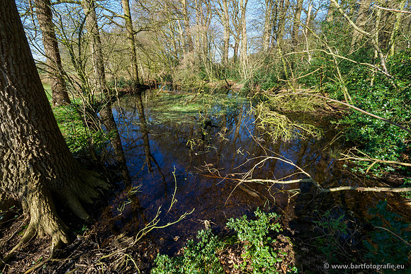 Bekenstelsel rondom Uddel en Elspeet 210320-008
