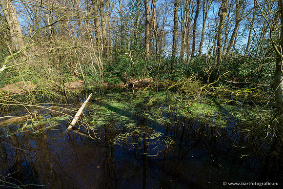 Bekenstelsel rondom Uddel en Elspeet 210320-009